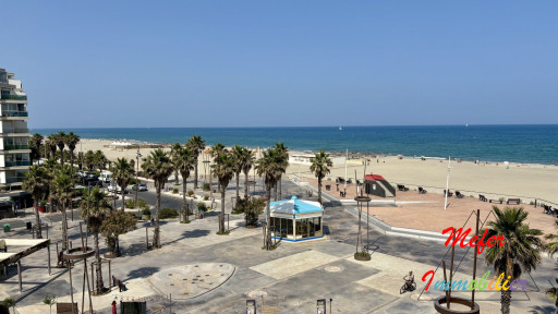 appartement vente Canet-en-roussillon