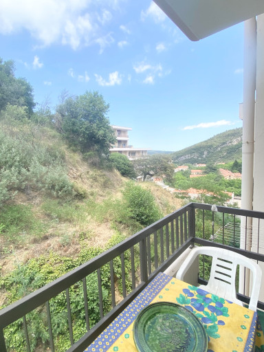 appartement location vacances Amélie-les-bains-palalda