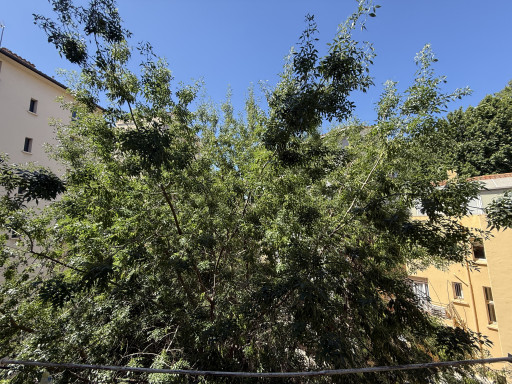 appartement vente Perpignan