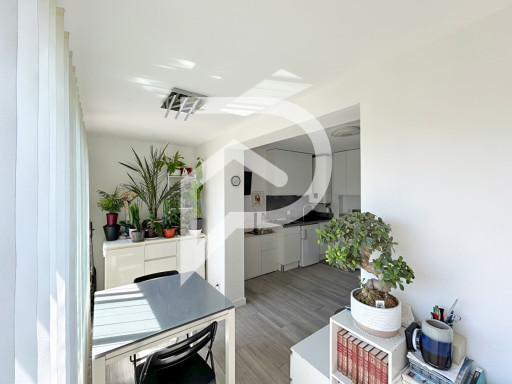 appartement vente Sainte-marie-la-mer