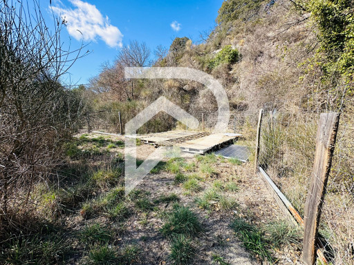 agricole vente Ille-sur-têt
