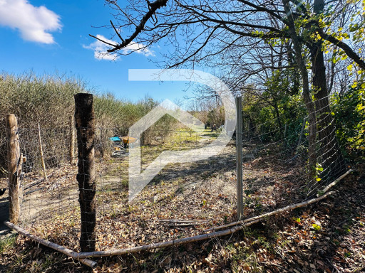agricole vente Ille-sur-têt