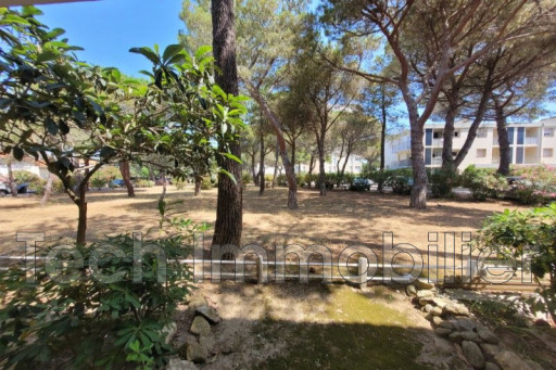 appartement vente Argelès-sur-mer