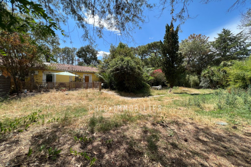 appartement vente Argelès-sur-mer