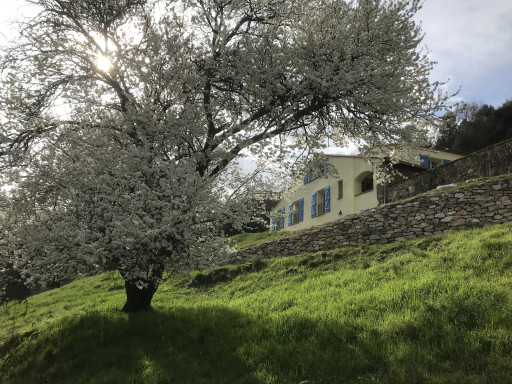 maisonvilla vente Corsavy