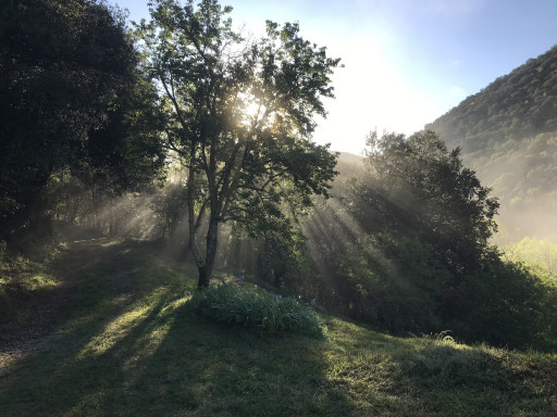 maisonvilla vente Corsavy
