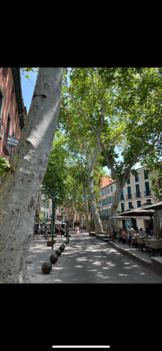 maisonvilla vente Céret