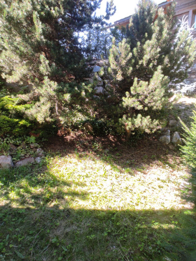 appartement vente Les angles