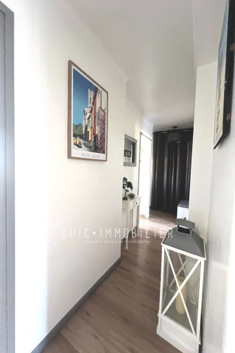 appartement vente Argelès-sur-mer
