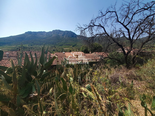maison vente Maury