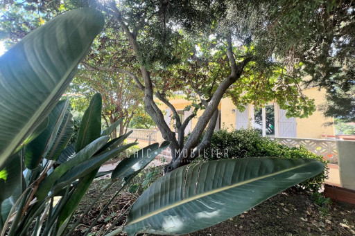 appartement vente Argelès-sur-mer