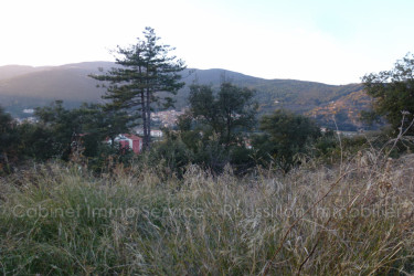 terrain vente Amélie-les-bains-palalda