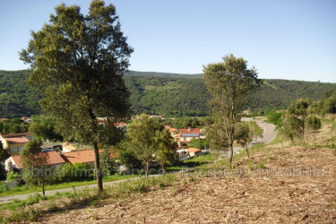 terrain vente Amélie-les-bains-palalda