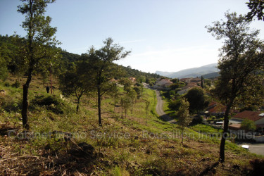 terrain vente Amélie-les-bains-palalda