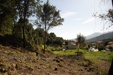 terrain vente Amélie-les-bains-palalda