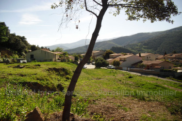 terrain vente Amélie-les-bains-palalda