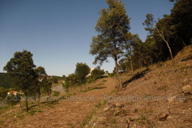 terrain vente Amélie-les-bains-palalda