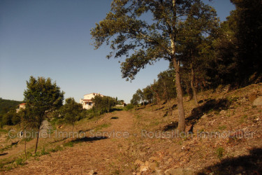 terrain vente Amélie-les-bains-palalda