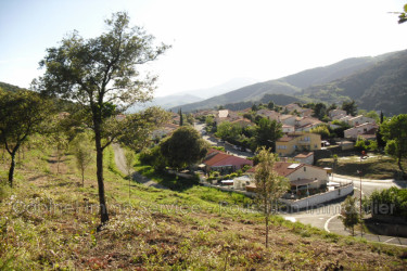 terrain vente Amélie-les-bains-palalda