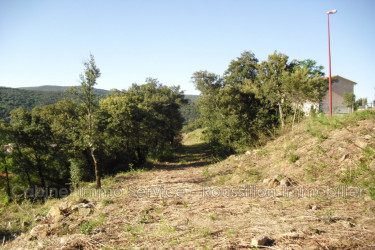 terrain vente Amélie-les-bains-palalda