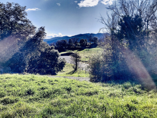 terrain vente Amélie-les-bains-palalda