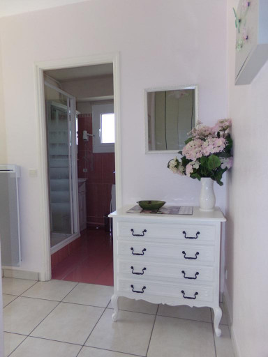 appartement vente Amélie-les-bains-palalda