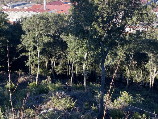 terrain vente Amélie-les-bains-palalda