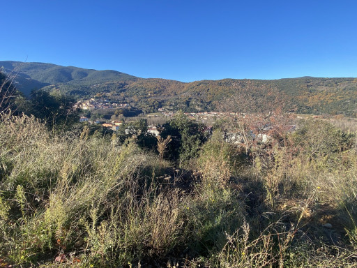 terrain vente Amélie-les-bains-palalda