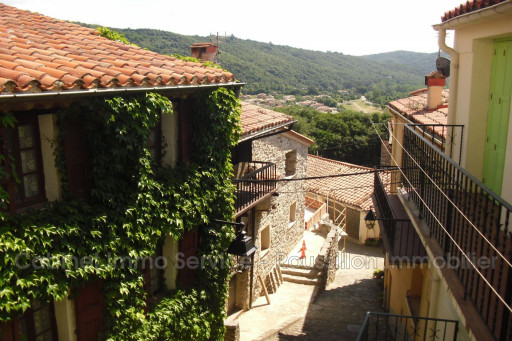 maisonvilla vente Amélie-les-bains-palalda