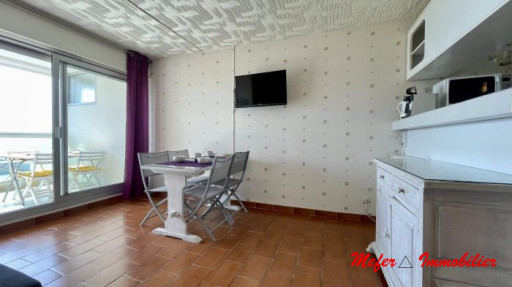 appartement location vacances Canet-en-roussillon