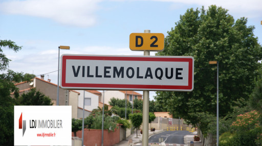 appartement vente Villemolaque