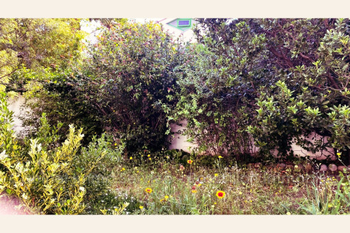 maisonvilla vente Le boulou