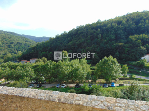appartement vente Prats-de-mollo-la-preste