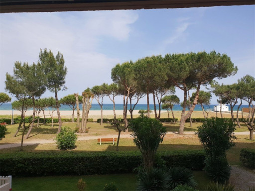 appartement location vacances Argeles plage