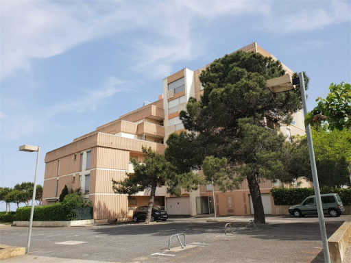 appartement location vacances Argeles plage