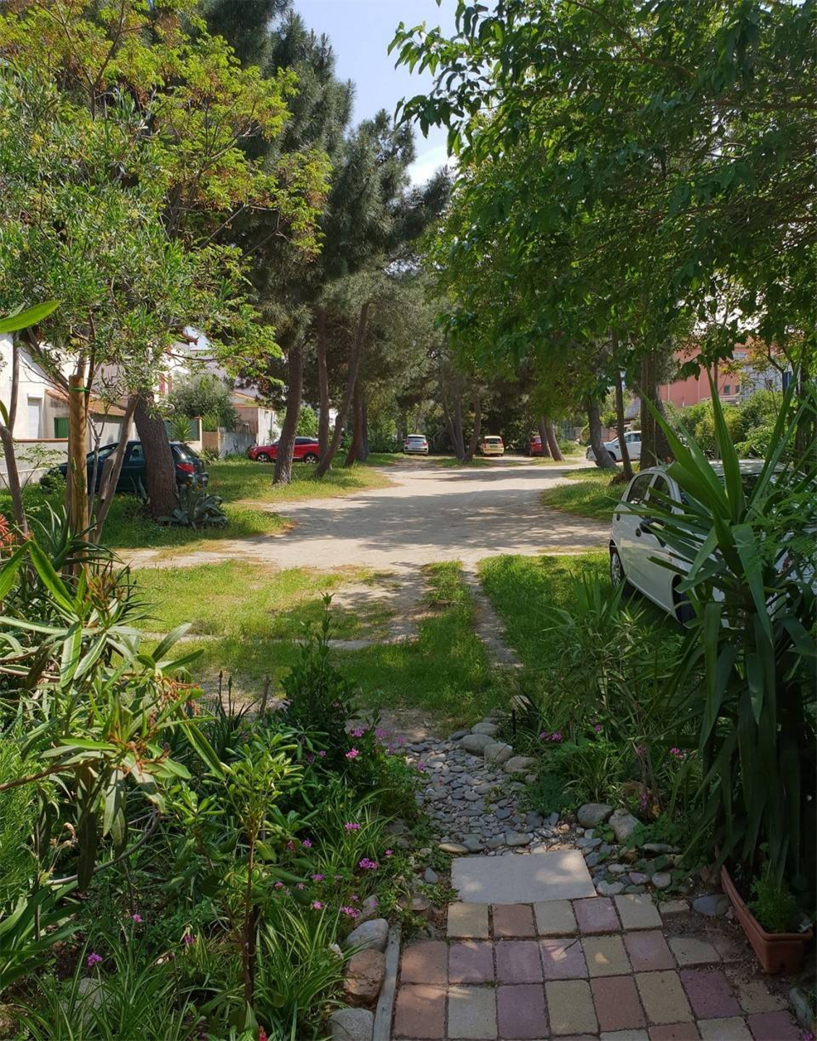 Vue