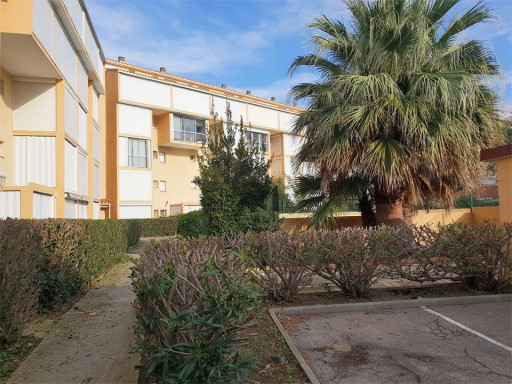 appartement location vacances Argeles plage